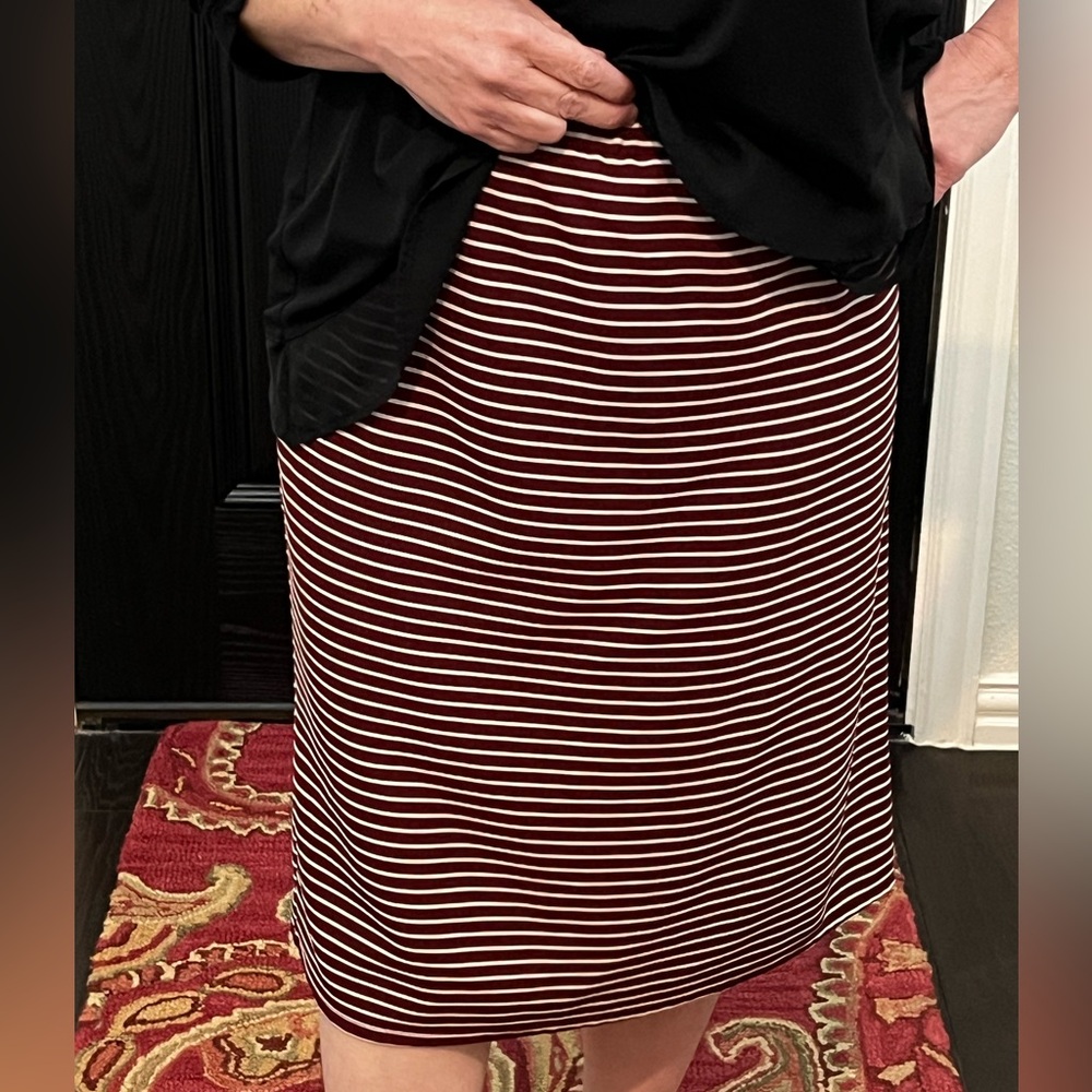 Striped Maroon and White Women's Skirt